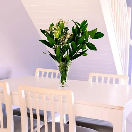 Apartment Under Gainne