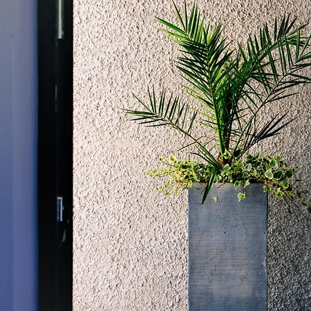 Apartment Under Gainne